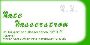 mate wasserstrom business card